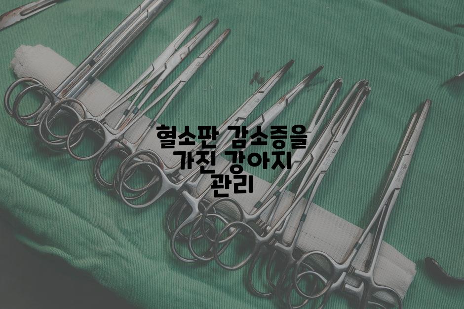 혈소판 감소증을 가진 강아지 관리