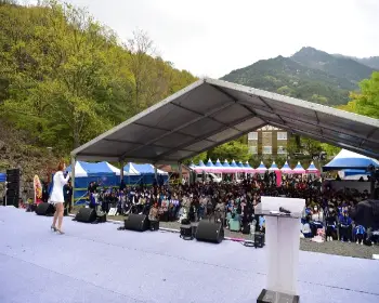 비슬산 참꽃축제_15