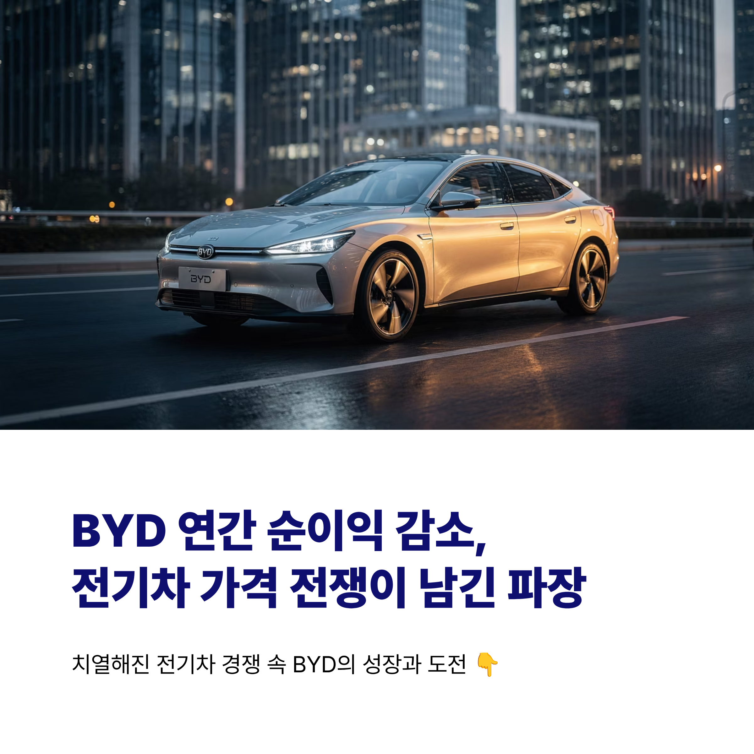 BYD 연간 순이익 감소
