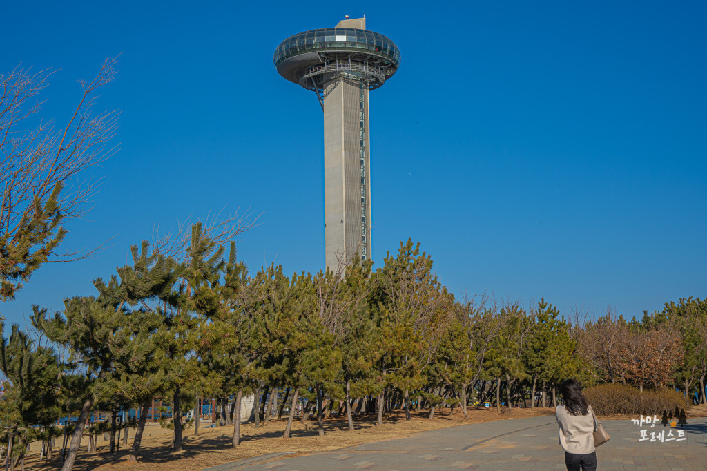 시화나래 휴게소 전망대