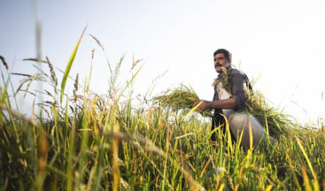 2024 농민수당 신청자격&amp;#44; 방법&amp;#44; 기간&amp;#44; 지원금액