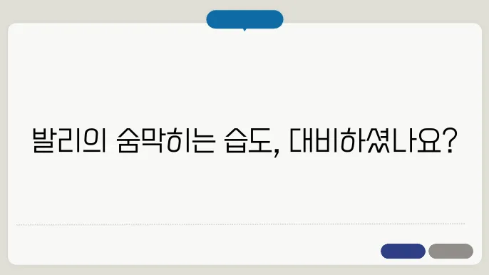 발리 11월 날씨 - 습도 높은 시즌 주의사항