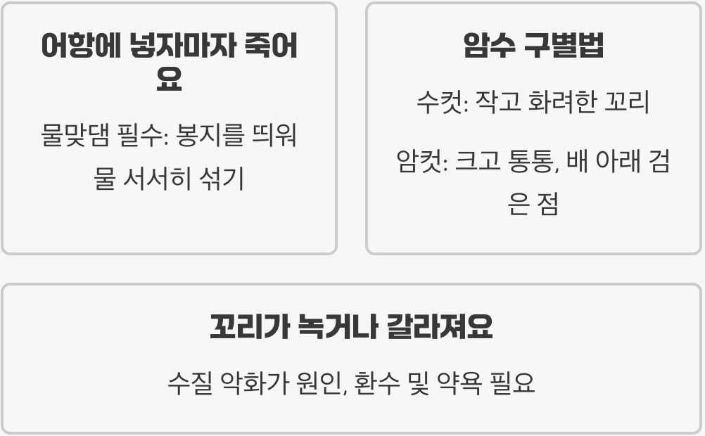 구피 키우기 완벽 가이드 (어항, 먹이, 번식, 수명 총정리)