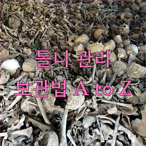 틀니 위생의 핵심, 보관함 선택 및 