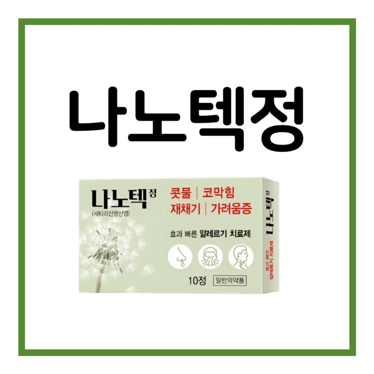 나노텍정-이미지