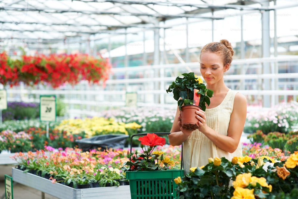 구매 패턴 관련 이미지