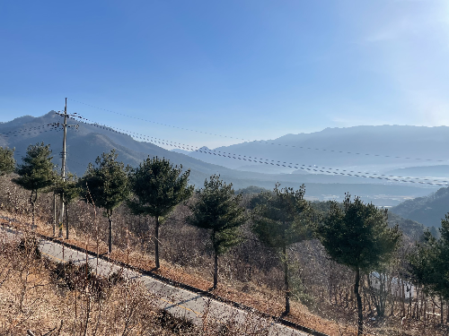 지친 일상에 필요한 걷기의 힘