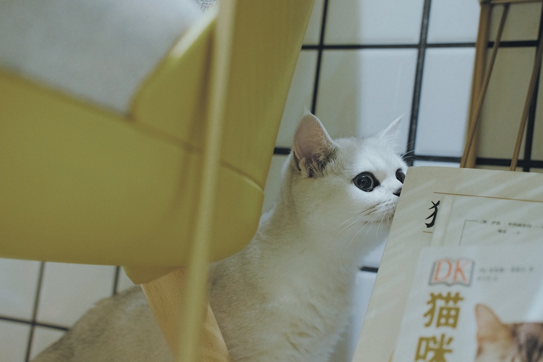 Pet.