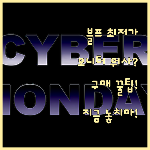 블랙프라이데이 모니터 구매 최적 시점..