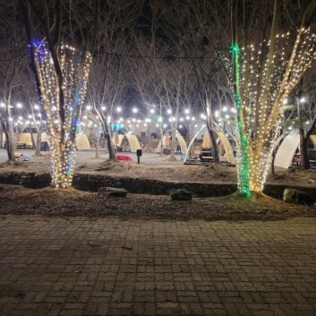 겨울 꼭 가봐야 할 겨울 축제 BEST 5