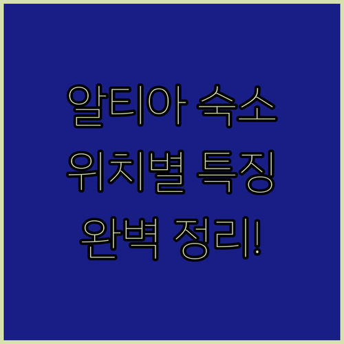 스페인 알티아 숙소 위치별 특징과 가..