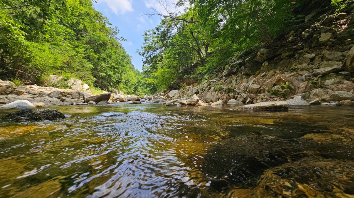 양양 지내밭 계곡