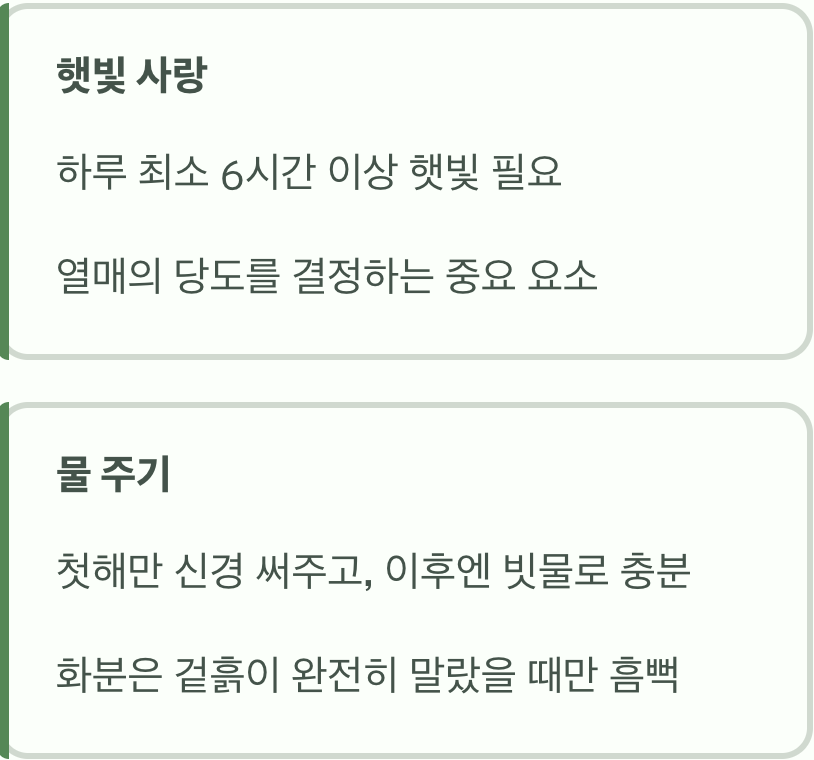 햇빛과 물, 이것만 기억하세요