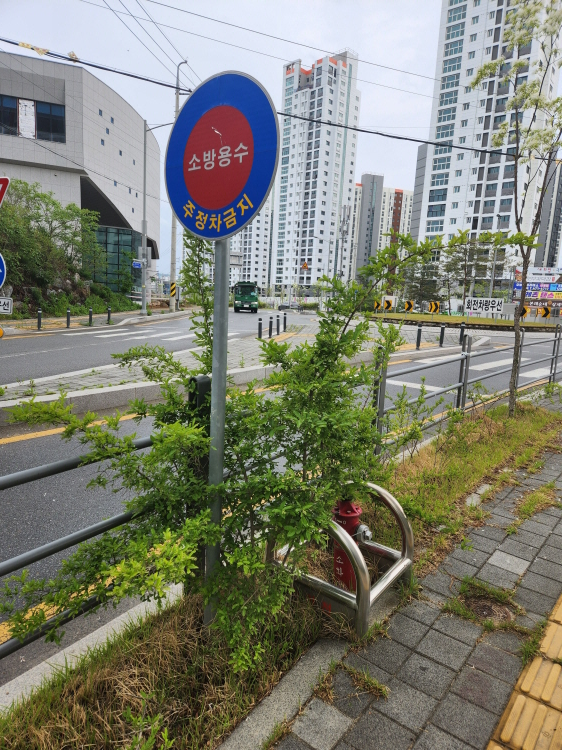 주차금지 구역