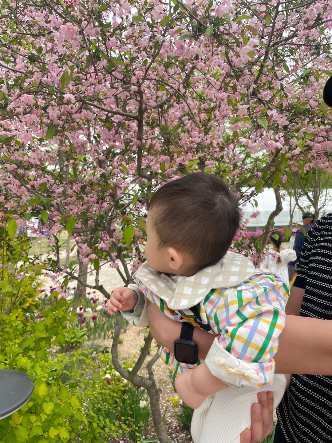 용인 자작나무숲 베툴라 대형 베이커피 카페