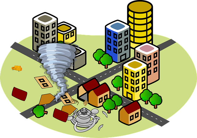 코로나 자가진단 키트 구매 재고확인 방법