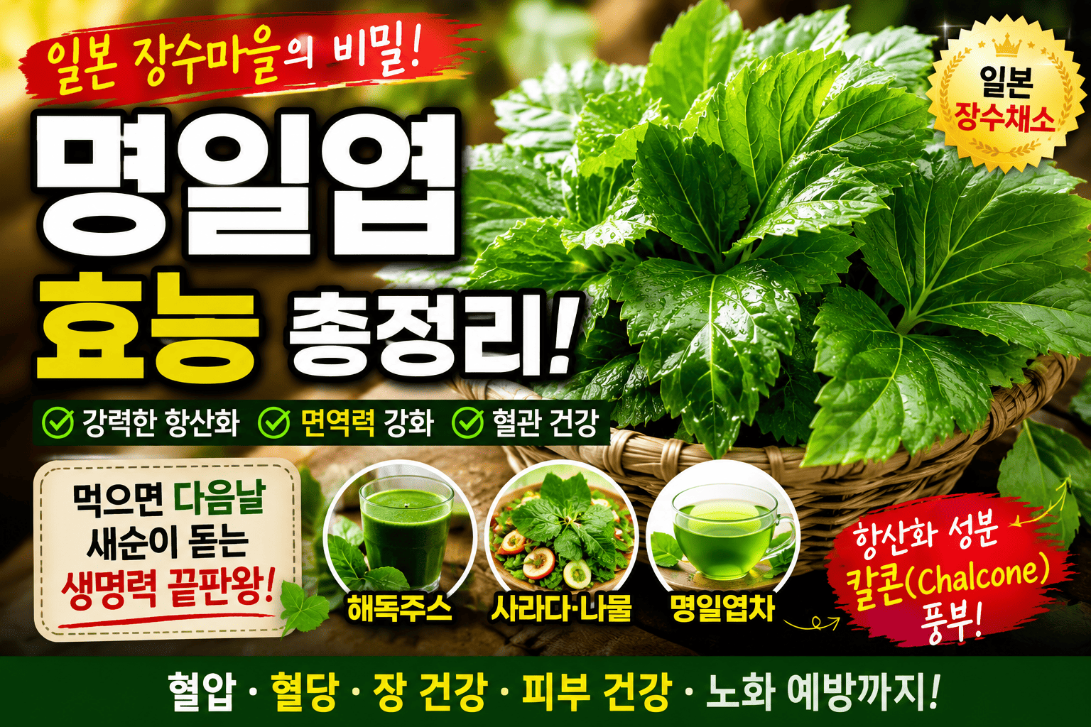 명일엽 영양과 효능 (항산화, 건강채소, 장수식품)