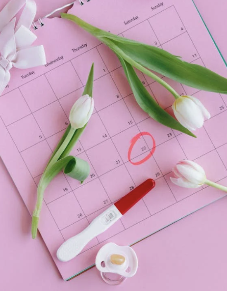 첫만남이용권 사용처