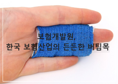 보험개발원