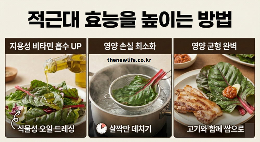 적근대 효능을 극대화하는 3가지 방법인 식물성 오일 섭취, 살짝 데치기, 고기와 함께 먹기를 설명하는 요약 이미지