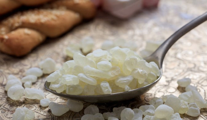 매스틱검 복용법 복용시간 