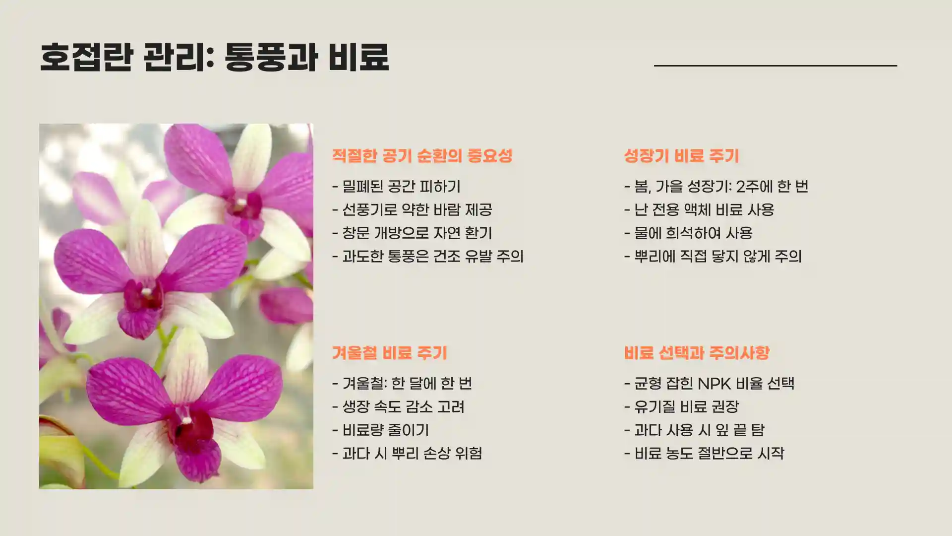 호접란 키우는 법 물주는 방법