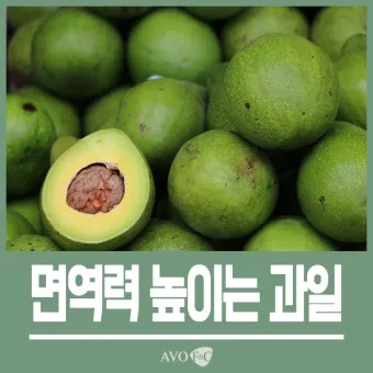 면역력 높이는 하루 루틴과 시간대별 건강 습관_5