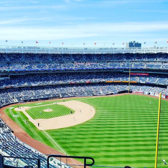 야구 관련 사진