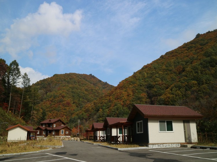 용대휴양림 숲속의 집 사진