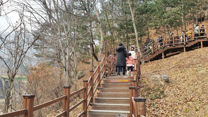 출렁다리까지 산행 시작