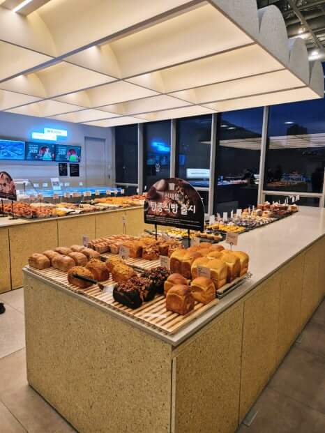 겨울방학 부산여행 추천