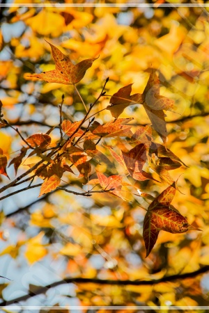 무거운 배낭을 멘 뚜벅이 여행자가 기차역 플랫폼에서 다음 여행지를 향해 기차를 기다리는 모습 