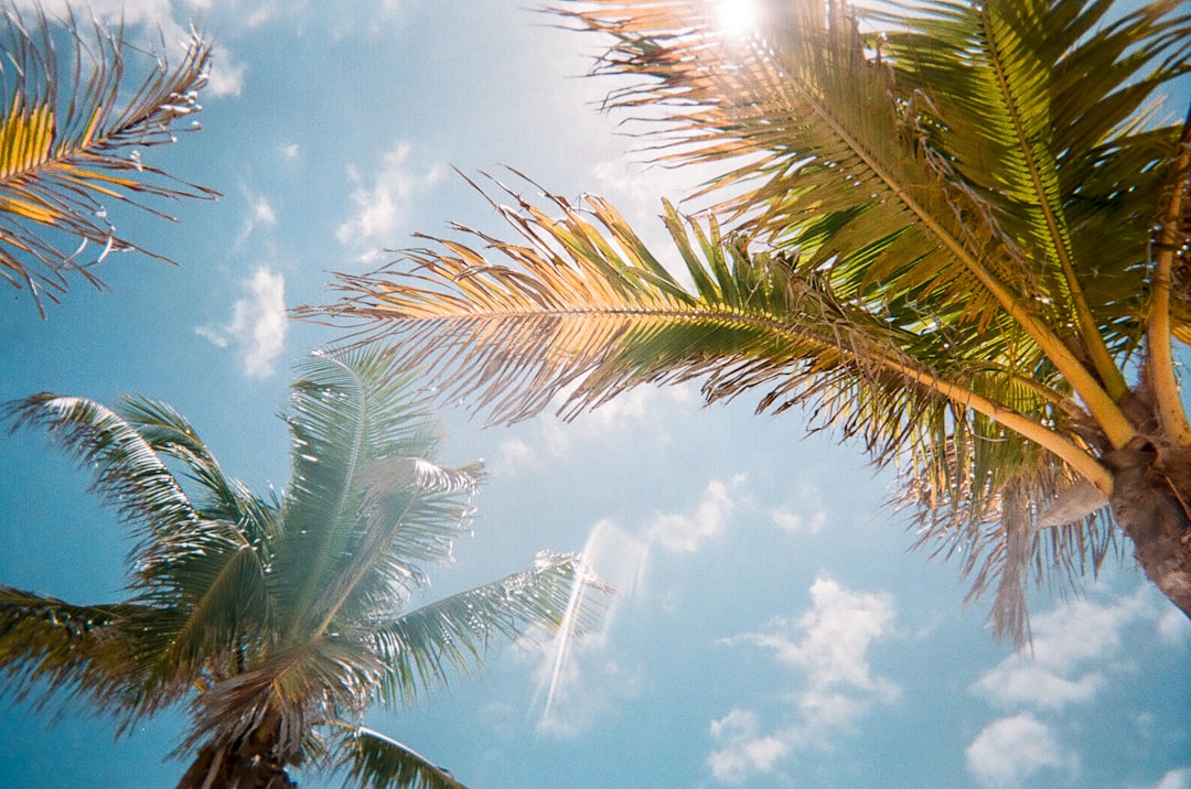 Sunshine