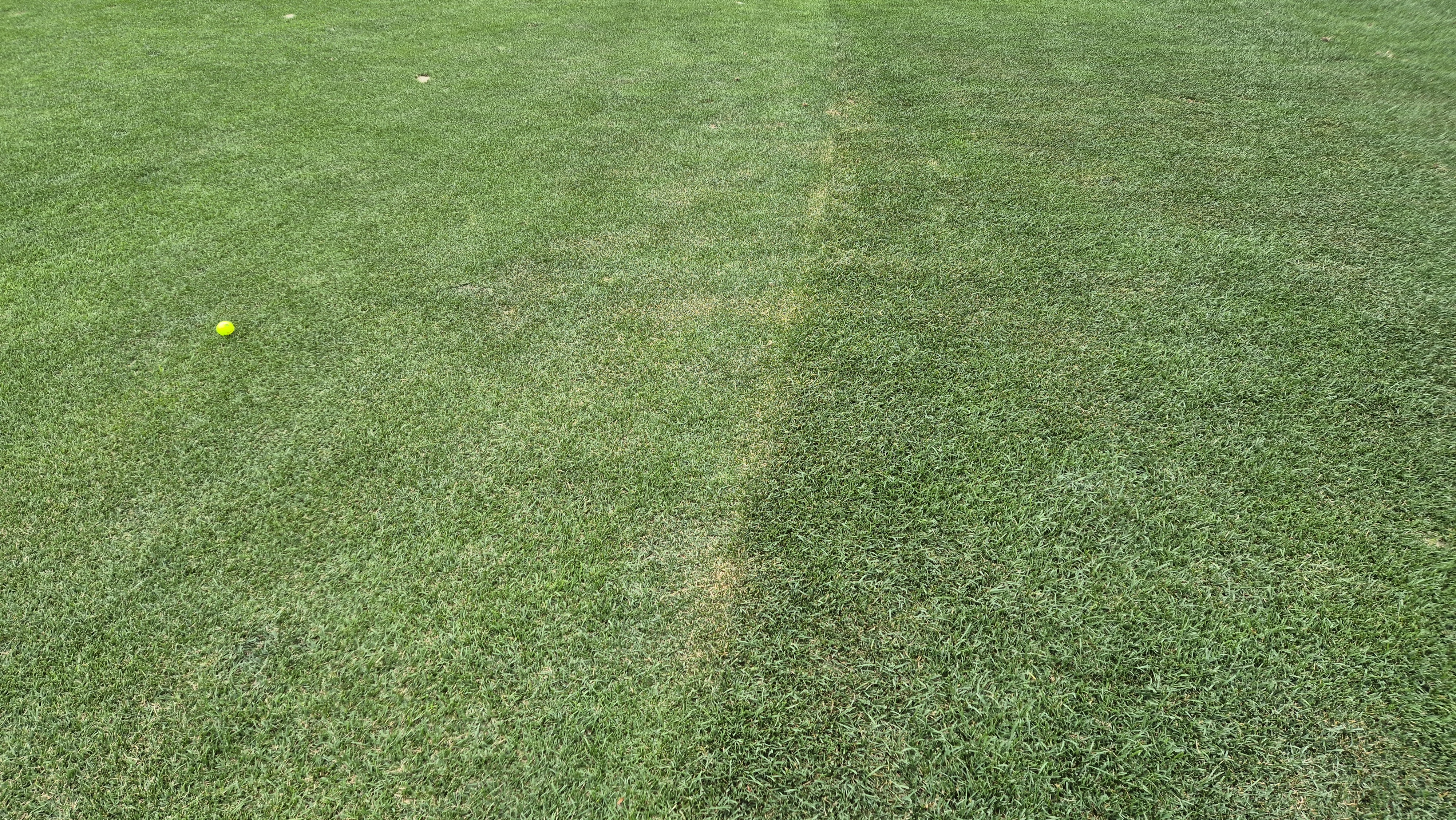 파인리즈cc 라운드 후기