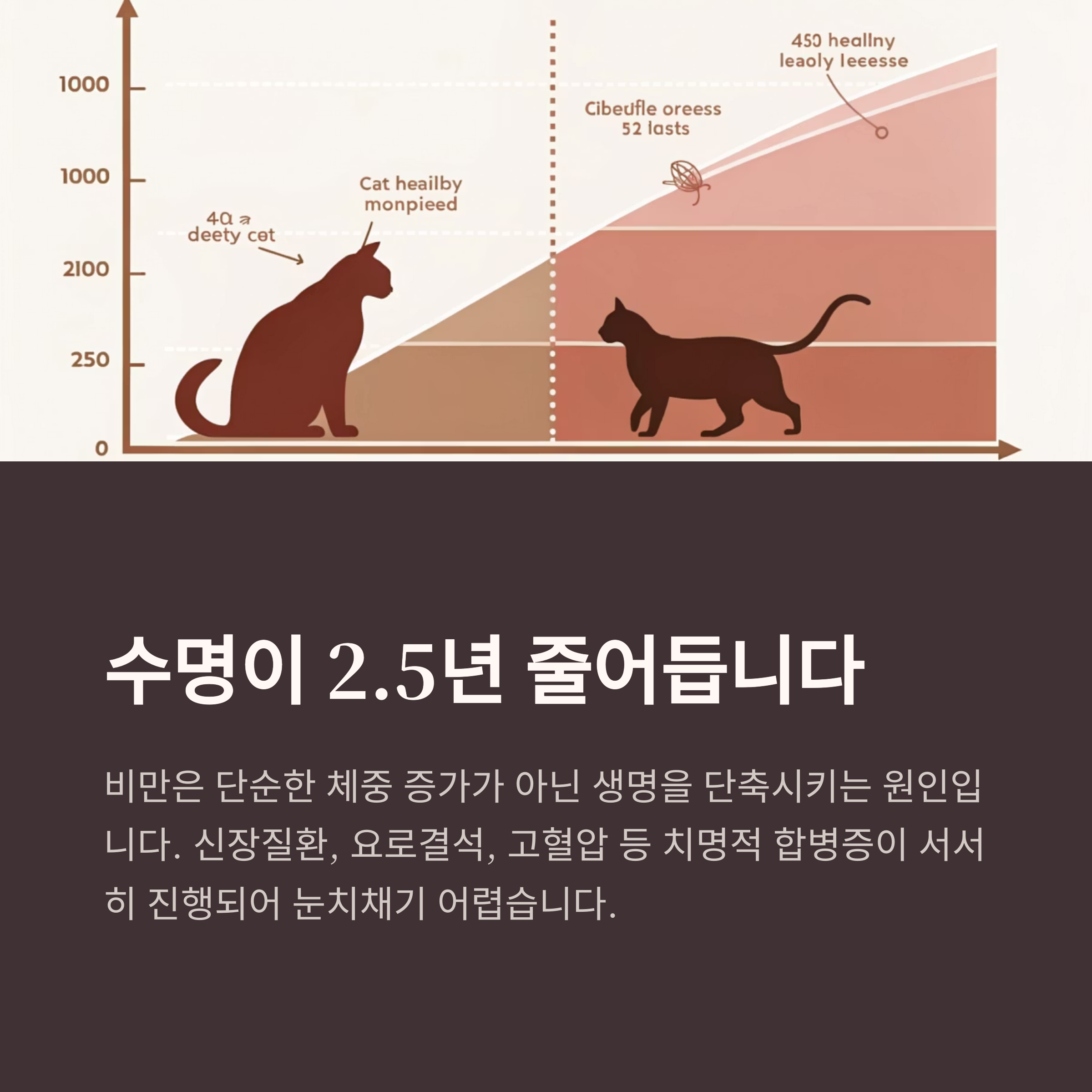 수명이 2.5년 줄어듭니다