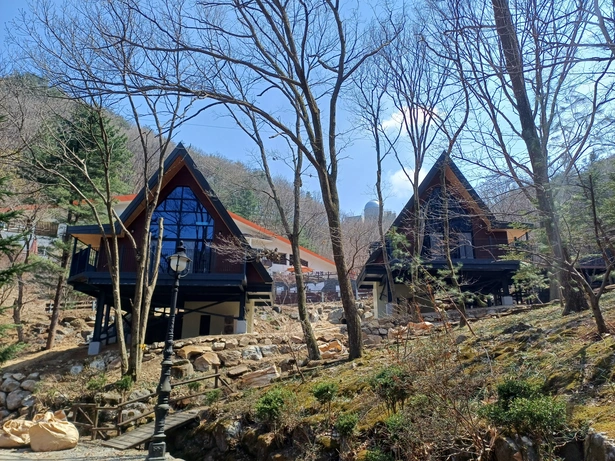 숲속의 집