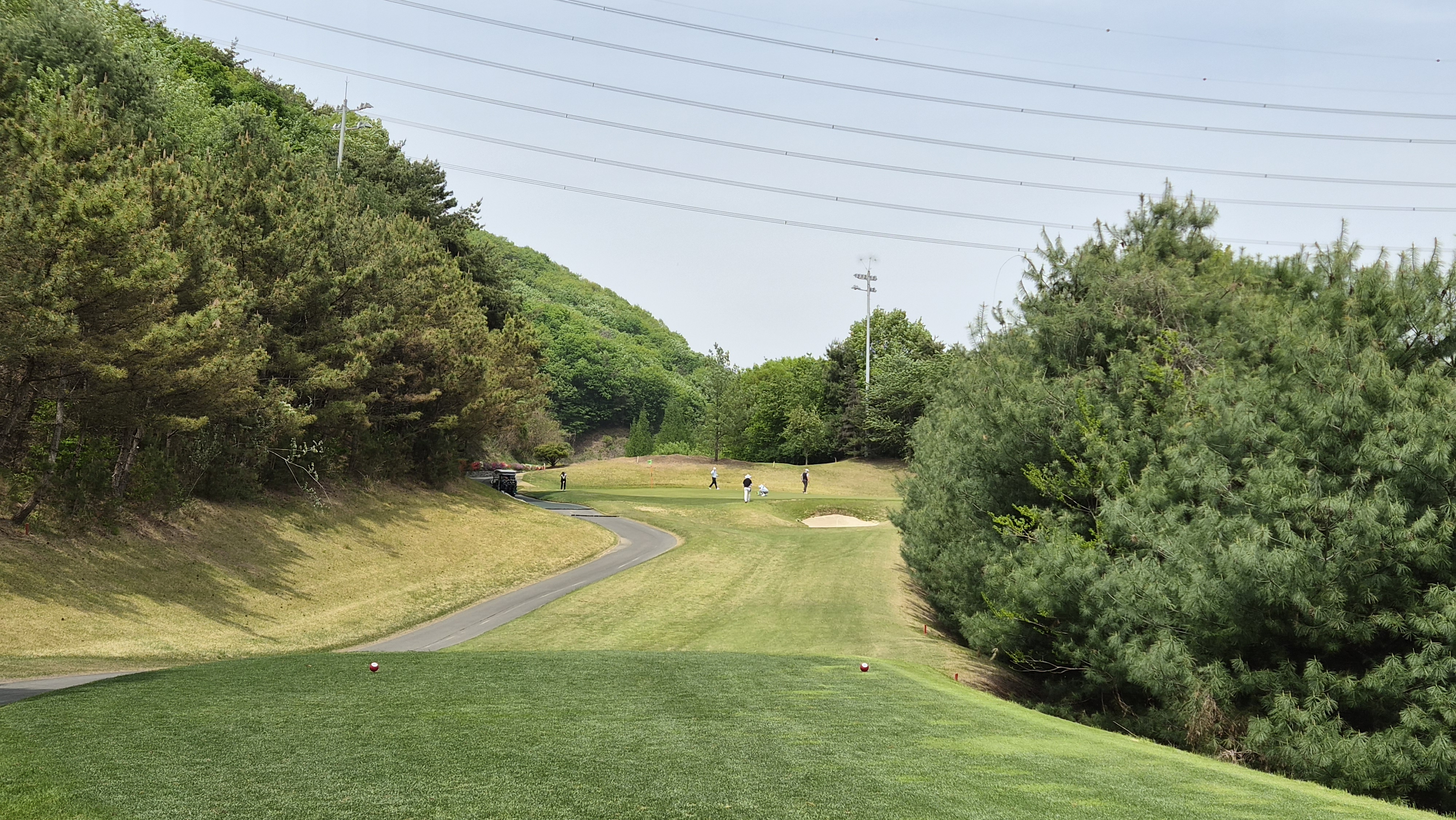 포웰cc 프린세스 코스 사진 및 공략 정보