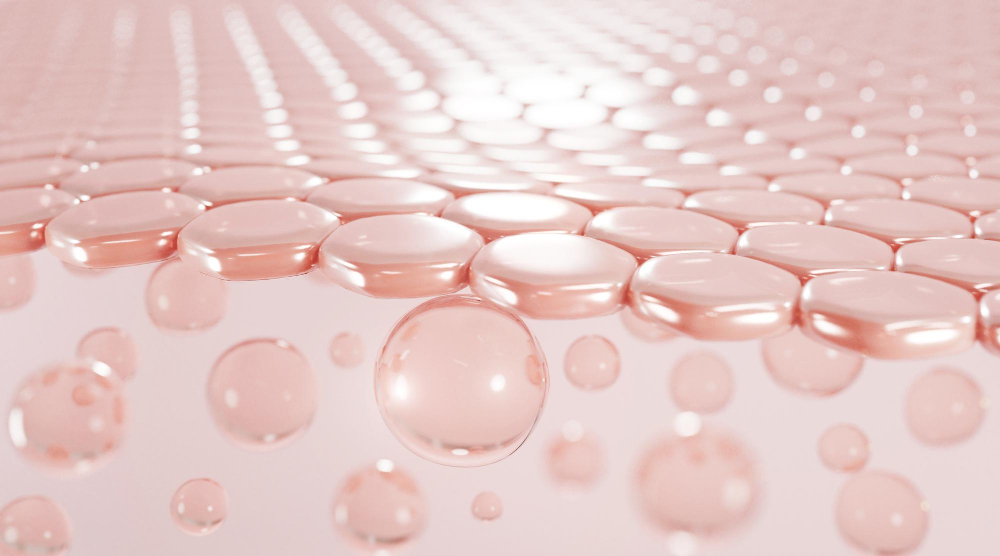 콜라겐 건강보조식품 효능