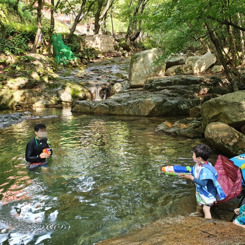 곡성_도림사계곡