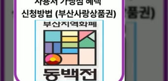 지역화폐 가맹점