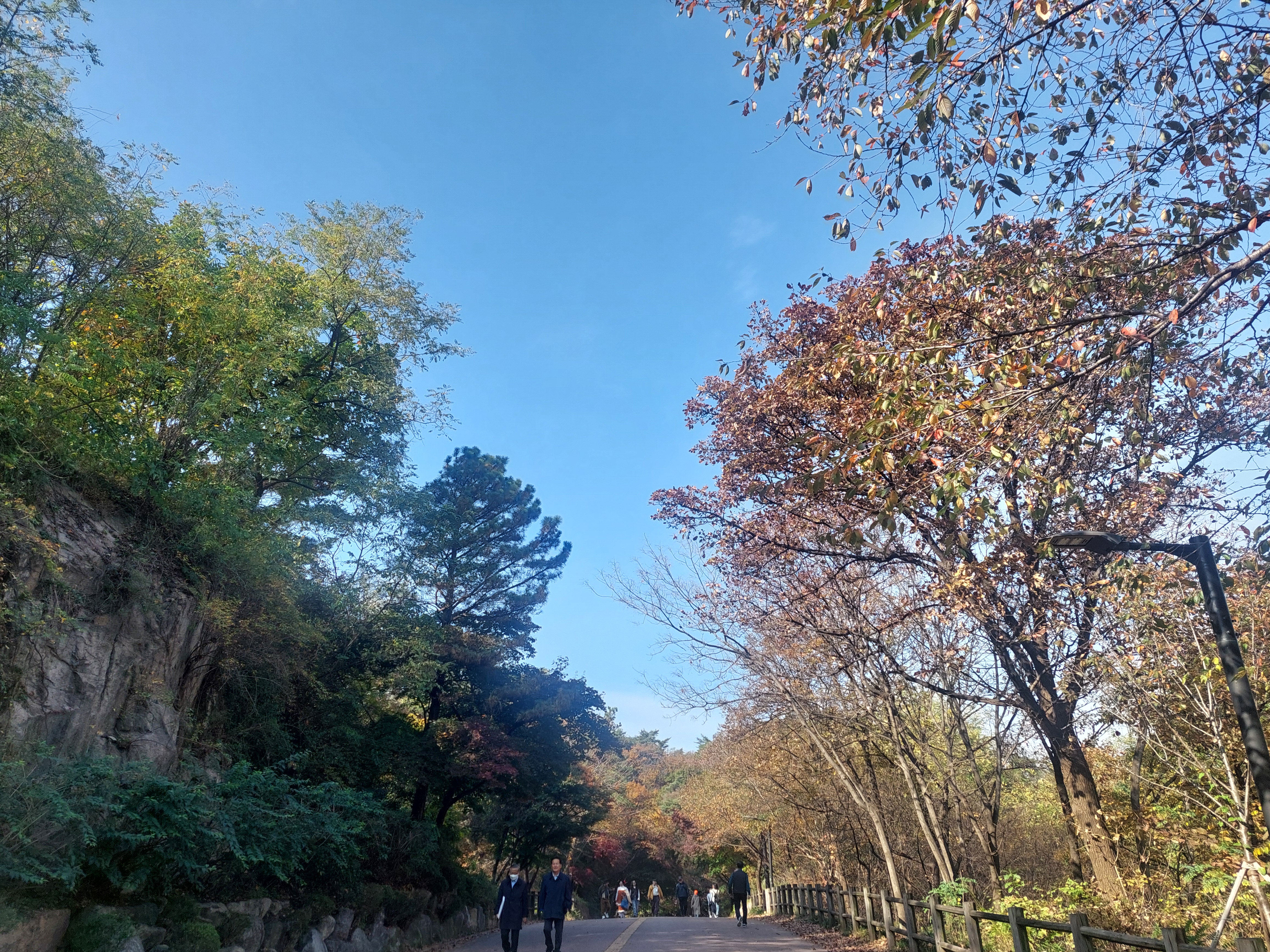 남산
