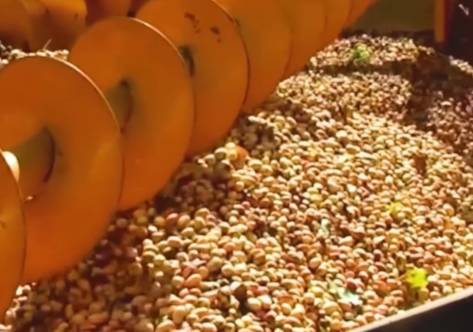 피스타치오의 효능