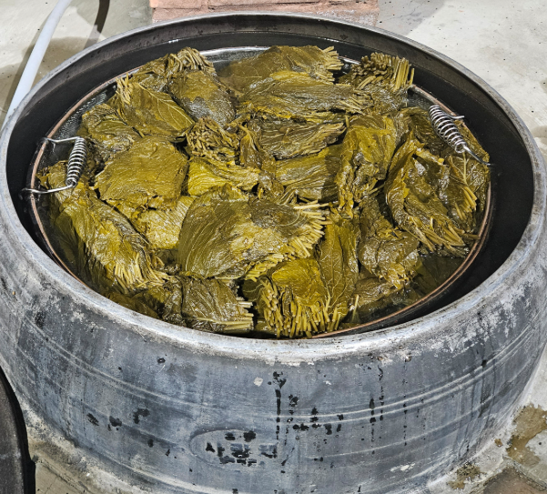 오늘N 약초장아찌 산양삼 된장 고추장 가격 구매 정보 이맛에산다 경북 영덕 유금농산