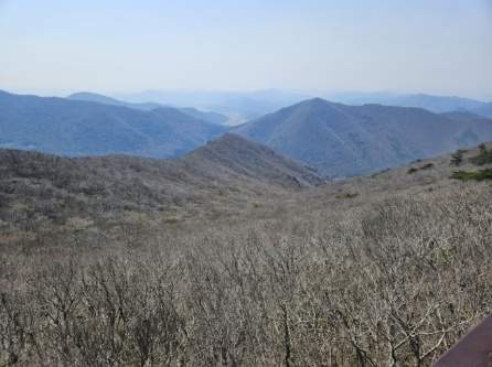 청산도 슬로우 걷기 축제: 자연과 문화의 완벽한 조화