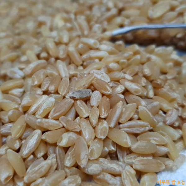 카무트 쌀 효능