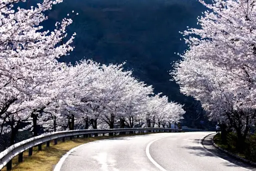 합천 해인사 &amp; 소리길2