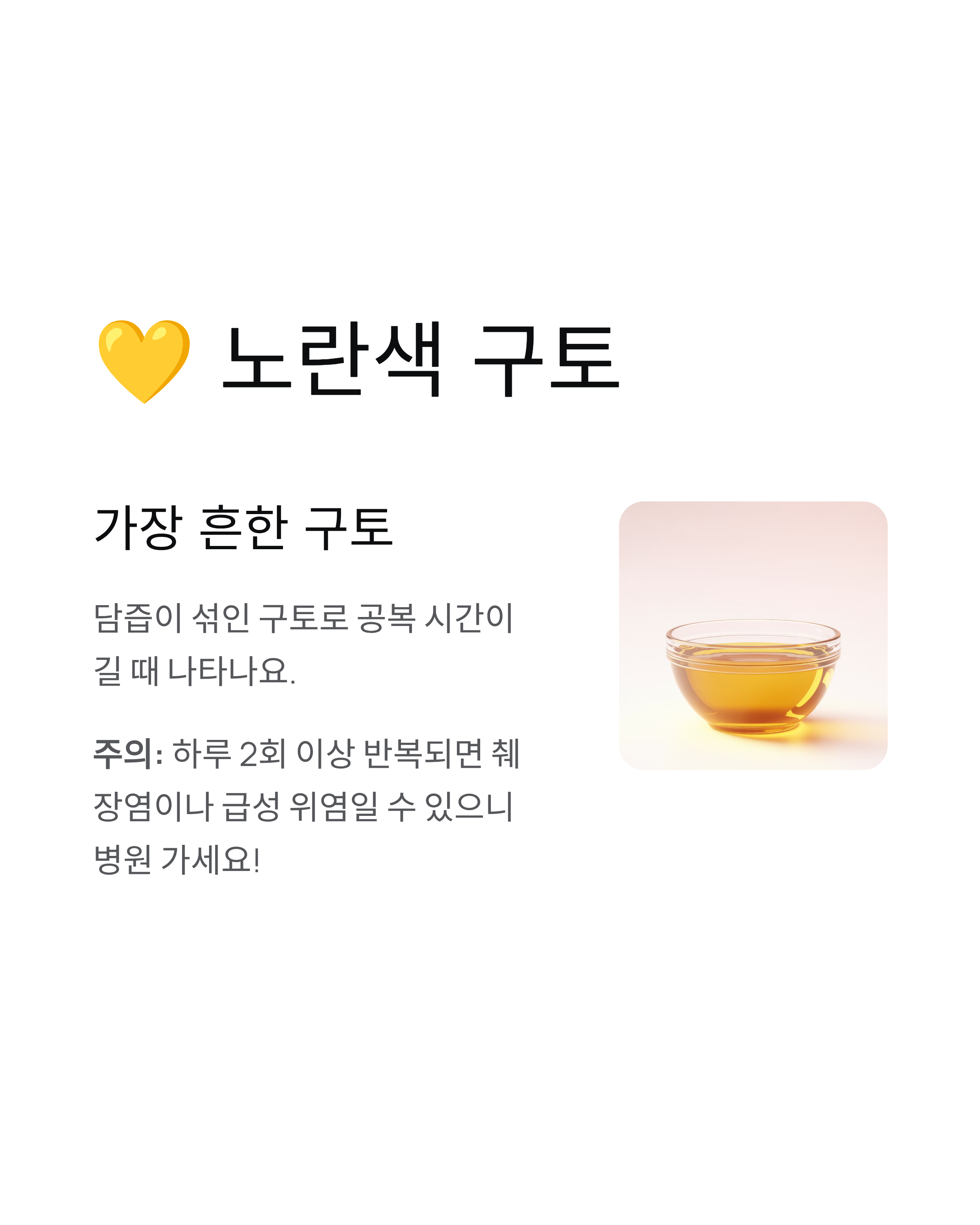 강아지 구토 🐕 색깔만 봐도 알 수 있는 응급상황 완벽 가이드