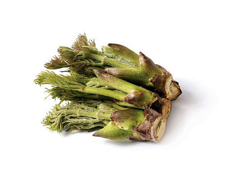 봄나물-브룹-이미지-모습