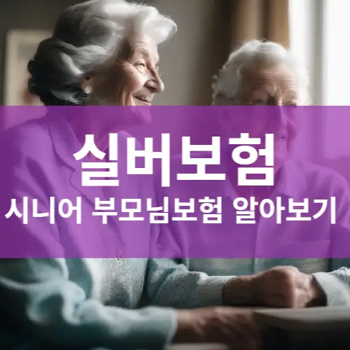 실버보험 부모님보험 시니어보험 노인보험