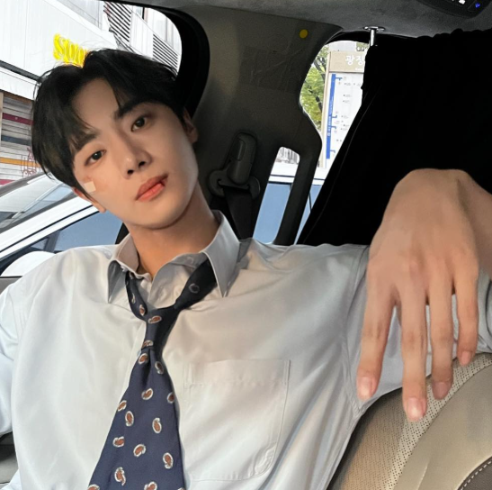 추영우 프로필
